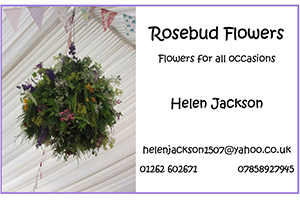 rosebud-flowers
