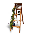 DISPLAY LADDERS
